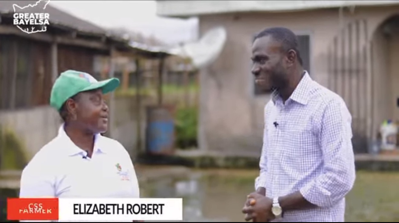 Impact Report: CSS Support for Bayelsa Farmers